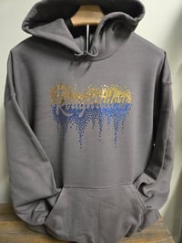 Roughriders scatter sequins hoodie 