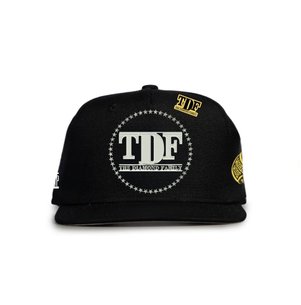 Image of Diamond family championship SnapBack 