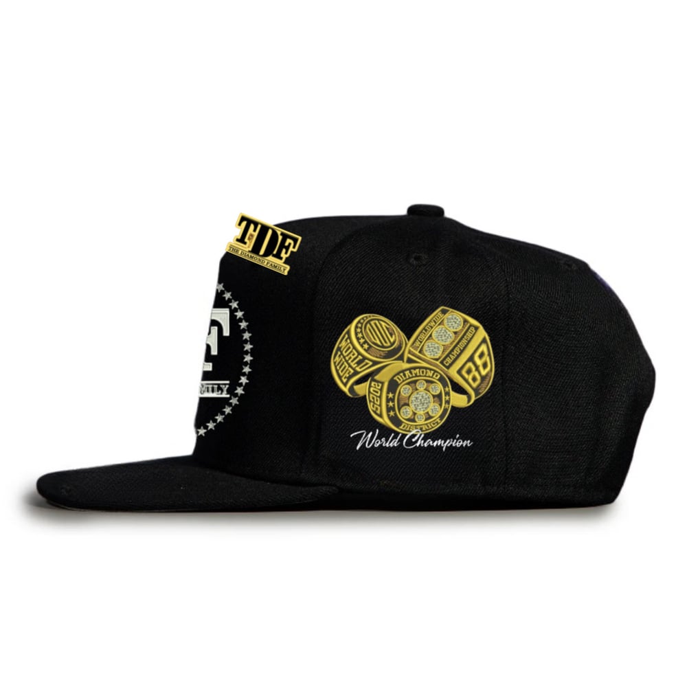 Image of Diamond family championship SnapBack 