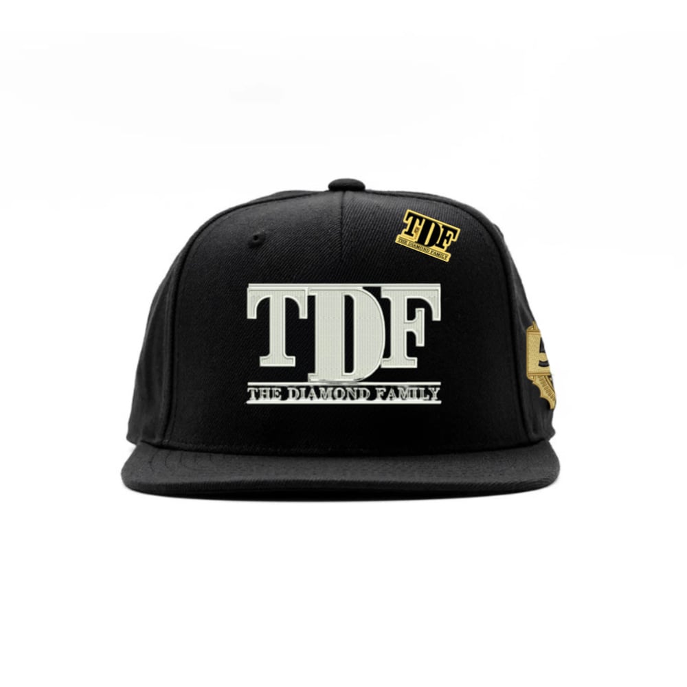 Image of TDF 5 year anniversary Snapback