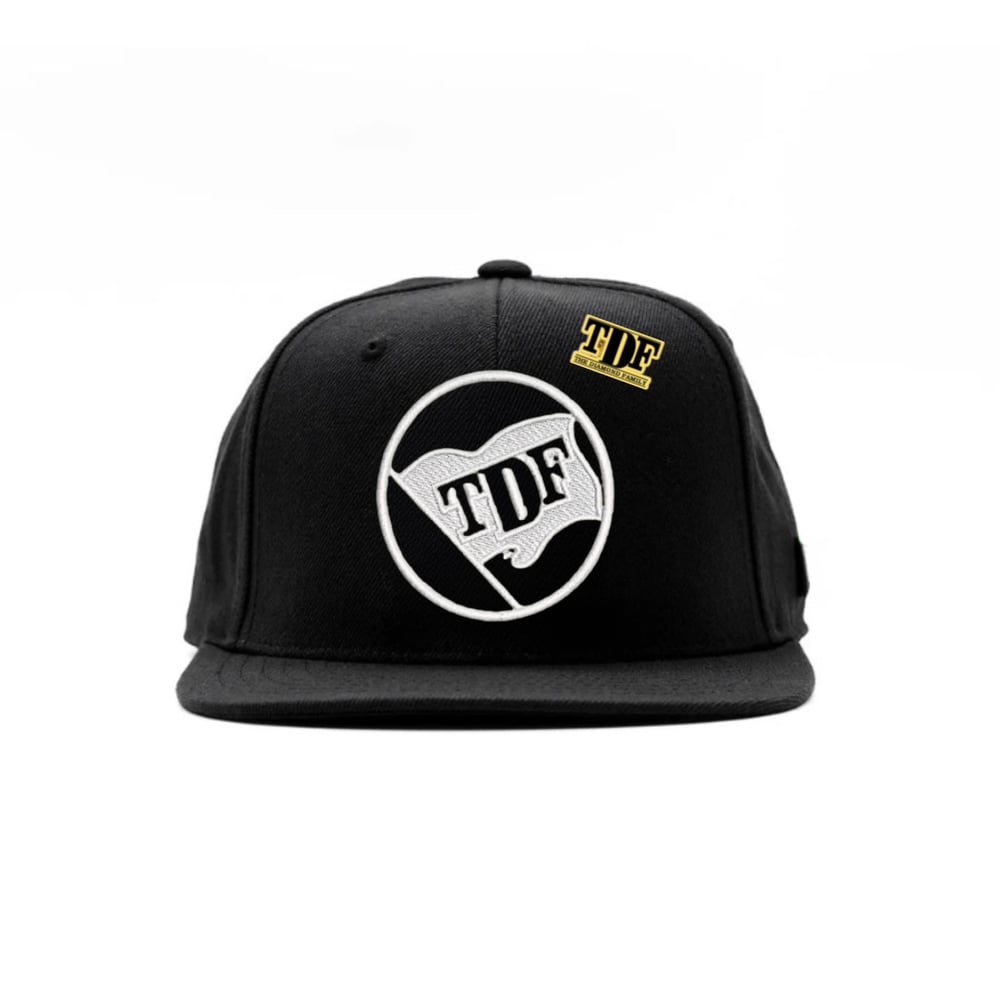 Image of TDF flag Snapback
