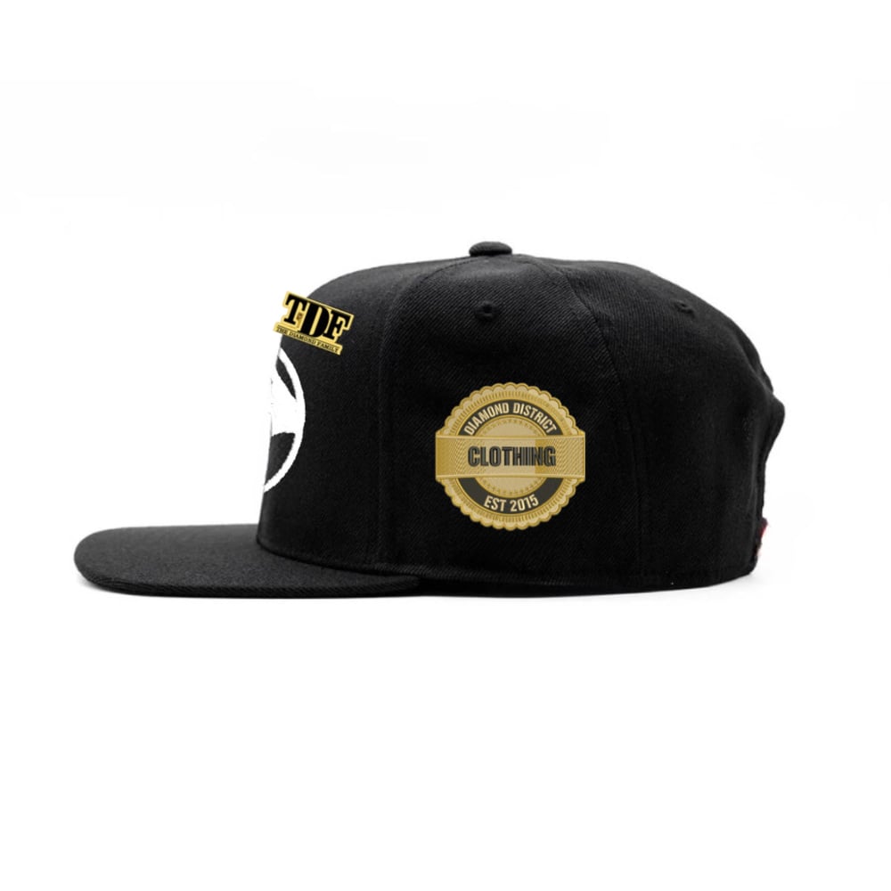 Image of TDF flag Snapback