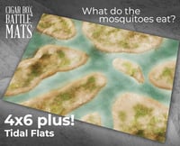 Image 1 of Tidal Flats -- #2620
