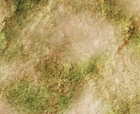 Image 2 of Tidal Flats -- #2620