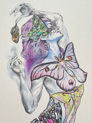 Image of Original Bella Butterfly 11” x 15”