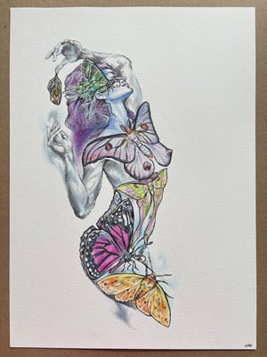 Image of Original Bella Butterfly 11” x 15”