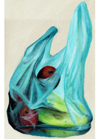 fruit bag - art print