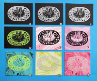 Image 2 of Griffin Prints