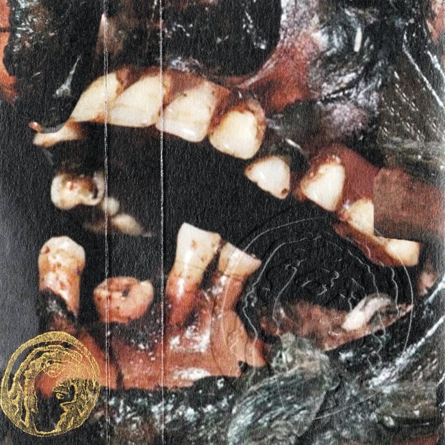 Caspar Sonnet - Equestrian (C30)