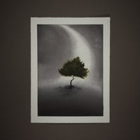 Image 1 of I didn't ask to grow here