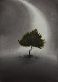 Image 2 of I didn't ask to grow here