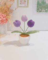 Image 2 of Purple Chubby Tulips Pot
