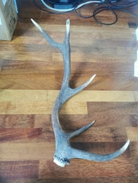 Reserved Listing for Laura