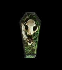 Image 3 of Hummel & künstlicher Schädel in Glassarg