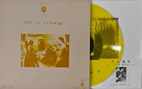 Image of Music That Shapes - Label Releases