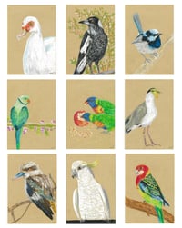 A5 Bird Oil Pastel drawings