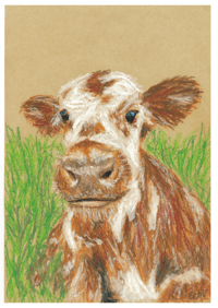 Image 4 of A5 animal oil pastel drawing