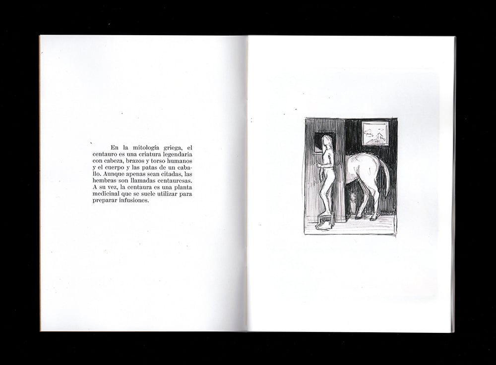 Centauresa: sketches