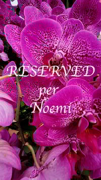 Ordine riservato per Noemi