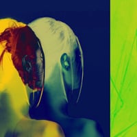 Image 5 of 'Reflection in Green'