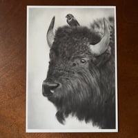 Image 3 of “Gentle encounter” Mini matted fine art print 