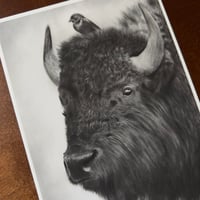 Image 5 of “Gentle encounter” Mini matted fine art print 