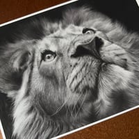 Image 5 of “Moonlit guardian” mini matted fine art print 