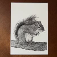 Image 2 of “Zoomie” mini matted fine art print