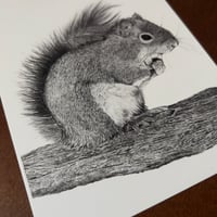 Image 3 of “Zoomie” mini matted fine art print