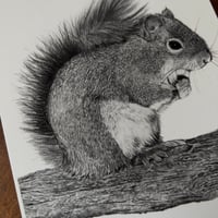 Image 4 of “Zoomie” mini matted fine art print