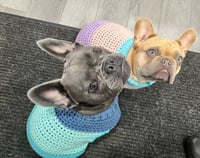 Image 1 of Dog Sweater-Medium