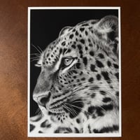 Image 3 of “Sovereign Stillness” mini matted fine art print 