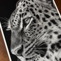 Image 4 of “Sovereign Stillness” mini matted fine art print 