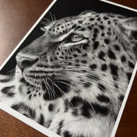 Image 5 of “Sovereign Stillness” mini matted fine art print 