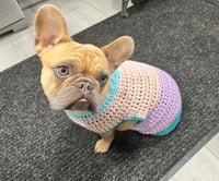 Image 2 of Dog Sweater-Medium