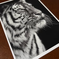 Image 3 of “Poise before the pounce” mini matted fine art print