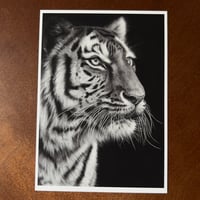 Image 4 of “Poise before the pounce” mini matted fine art print