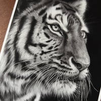 Image 5 of “Poise before the pounce” mini matted fine art print