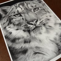 Image 4 of “Snow royal” mini matted fine art print 