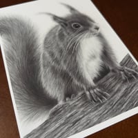 Image 3 of “Curious visitor” mini matted fine art print 