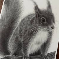 Image 4 of “Curious visitor” mini matted fine art print 