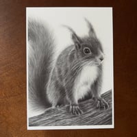 Image 5 of “Curious visitor” mini matted fine art print 