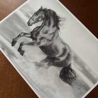 Image 3 of “Free spirit” mini matted fine art print 