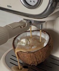 Image 1 of Velvet Coconut