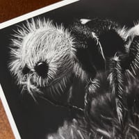 Image 3 of “Panda ant” mini matted fine art print 