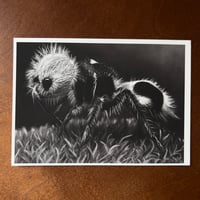 Image 4 of “Panda ant” mini matted fine art print 