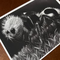Image 5 of “Panda ant” mini matted fine art print 