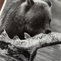 Image 4 of “Catch of the day” matted mini fine art print 