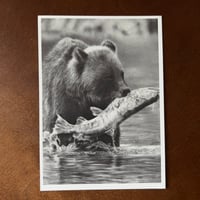 Image 5 of “Catch of the day” matted mini fine art print 