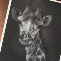 Image 4 of “Stretch” mini matted fine art print 